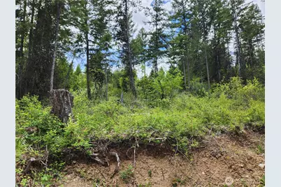 318 Rockabye Lane, Curlew, WA 99118 - Photo 15