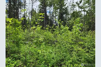 318 Rockabye Lane, Curlew, WA 99118 - Photo 11