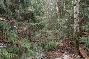 64062 Cascade River Rd, Marblemount, WA 98267 - Photo 1