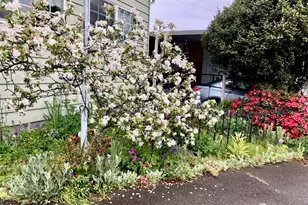 18501 52nd Ave, Lynnwood, WA 98037 - Photo 29