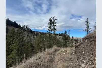 6 Lot Tbd Lundimo Meadows, Curlew, WA 99118 - Photo 13