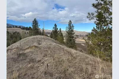 6 Lot Tbd Lundimo Meadows, Curlew, WA 99118 - Photo 5