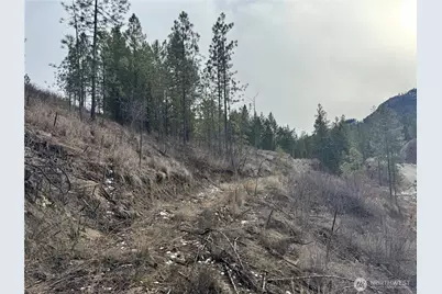 6 Lot Tbd Lundimo Meadows, Curlew, WA 99118 - Photo 17