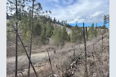 6 Lot Tbd Lundimo Meadows, Curlew, WA 99118 - Photo 15