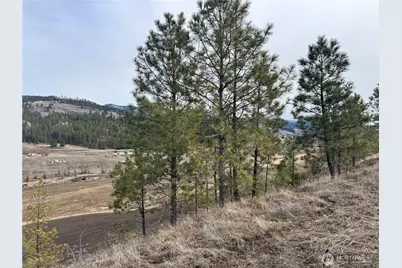 6 Lot Tbd Lundimo Meadows, Curlew, WA 99118 - Photo 7