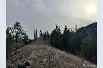 6 Lot Tbd Lundimo Meadows, Curlew, WA 99118 - Photo 9