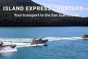 641 Decatur Head Dr, Decatur Island, WA 98221 - Photo 37