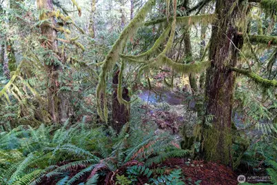 2483 E Johns Prairie, Shelton, WA 98584 - Photo 5