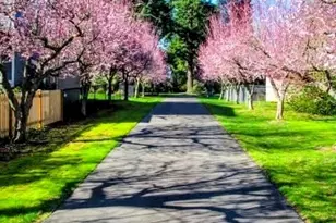 22532 88th Ave W, Edmonds, WA 98026 - Photo 37