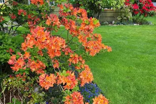 1912 Elliott Ave NW, Olympia, WA 98502 - Photo 33