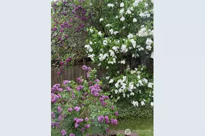 12019 B 25th Avenue NE, Seattle, WA 98125 - Photo 29