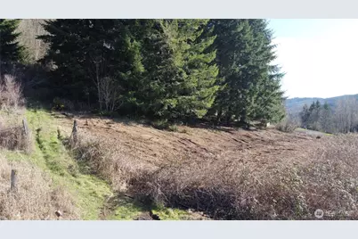 0 Lenora Lane, Kelso, WA 98626 - Photo 21