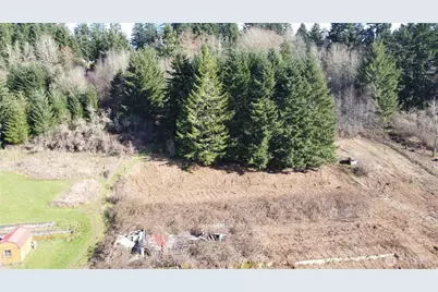 0 Lenora Lane, Kelso, WA 98626 - Photo 5
