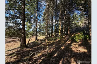 0 Lenora Lane, Kelso, WA 98626 - Photo 29