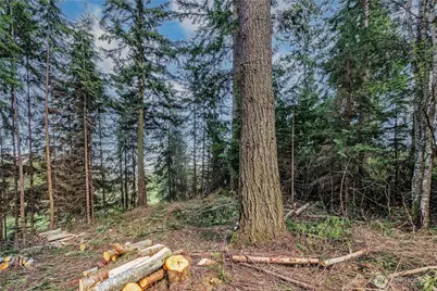 36 Dunbar Court, Port Ludlow, WA 98365 - Photo 5