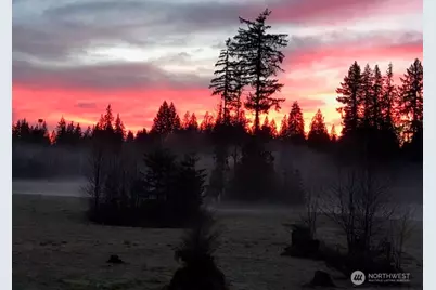 10219 Kelly Road NE, Carnation, WA 98014 - Photo 39