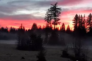 10219 Kelly Rd NE, Carnation, WA 98014 - Photo 39