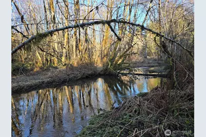 1531 W Ford Road, Matlock, WA 98560 - Photo 3