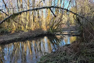 1531 W Ford Rd, Matlock, WA 98560 - Photo 3