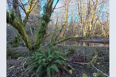 1531 W Ford Road, Matlock, WA 98560 - Photo 25