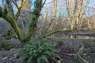 1531 W Ford Rd, Matlock, WA 98560 - Photo 25