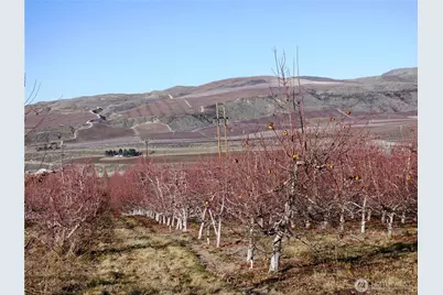 2311 Highland Dr, Bridgeport, WA 98813 - Photo 7