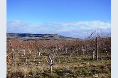 2311 Highland Dr, Bridgeport, WA 98813 - Photo 5