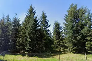 18601 Loganberry St SW, Rochester, WA 98579 - Photo 1