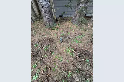 880 Wawona Avenue SW, Ocean Shores, WA 98569 - Photo 13