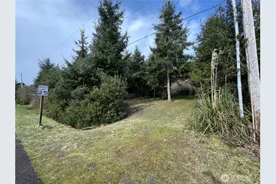 880 Wawona Avenue SW, Ocean Shores, WA 98569 - Photo 1