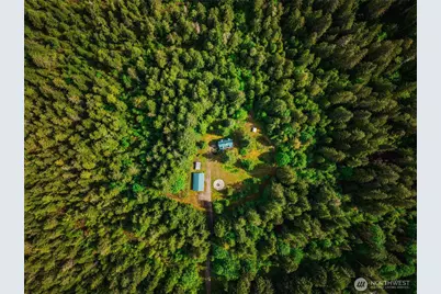 61551 Cascade River Rd, Marblemount, WA 98267 - Photo 3