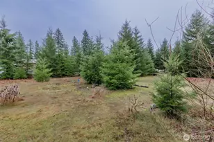 105 Jack Fir Ct E, Packwood, WA 98361 - Photo 27