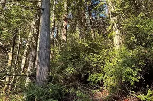 0 Nka Yashi Rd, Brinnon, WA 98320 - Photo 1