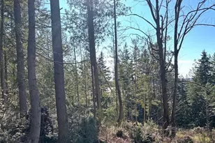 1 Nka Yashi Rd, Brinnon, WA 98320 - Photo 1