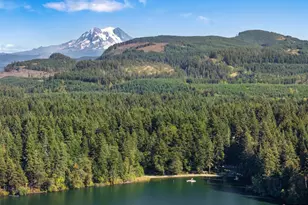 22424 Bluewater Dr SE, Yelm, WA 98597 - Photo 35