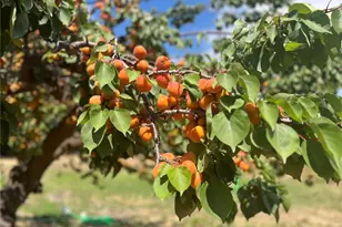 175 Green Ave, Manson, WA 98831 - Photo 37