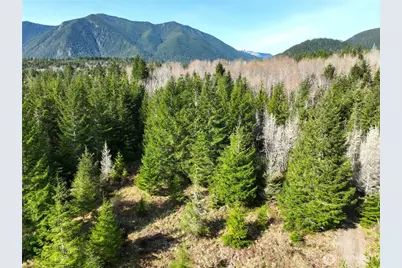 71 Elkhorn Lane, Quilcene, WA 98376 - Photo 3