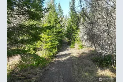 71 Elkhorn Lane, Quilcene, WA 98376 - Photo 5