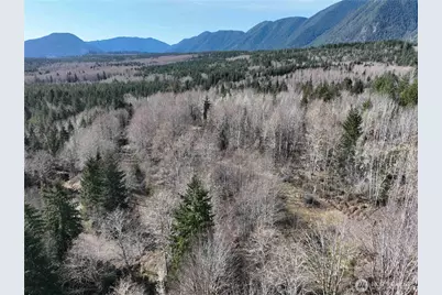 71 Elkhorn Lane, Quilcene, WA 98376 - Photo 15