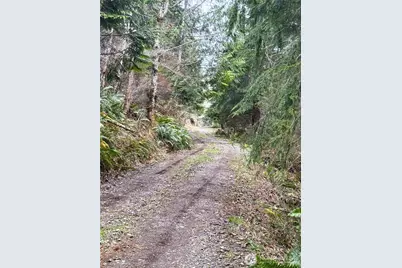 71 Elkhorn Lane, Quilcene, WA 98376 - Photo 13