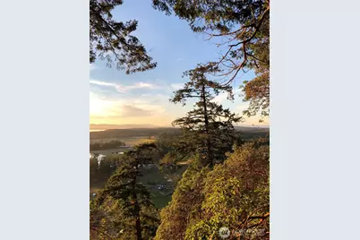 185 Lucky Way, Friday Harbor, WA 98250 - Photo 7