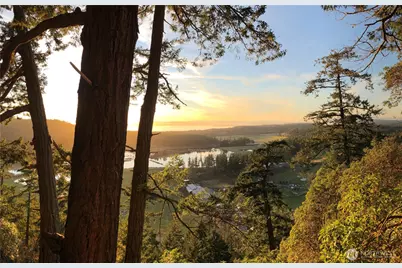 185 Lucky Way, Friday Harbor, WA 98250 - Photo 9