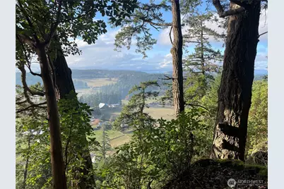 185 Lucky Way, Friday Harbor, WA 98250 - Photo 31