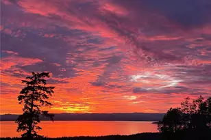 185 Lucky Way, Friday Harbor, WA 98250 - Photo 1