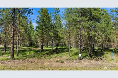 46 Southern Star Lane, Cle Elum, WA 98922 - Photo 3