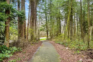 8968 Garibaldi Ct, Blaine, WA 98230 - Photo 35