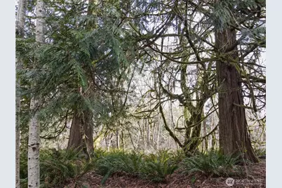 12402 131st Street NW, Gig Harbor, WA 98329 - Photo 7