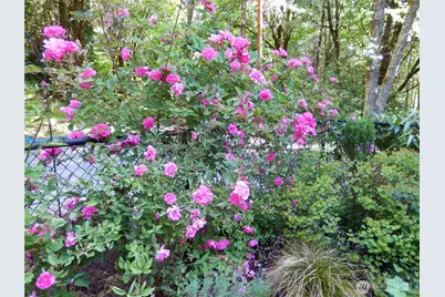 4929 Black Lake Boulevard SW, Olympia, WA 98502 - Photo 35