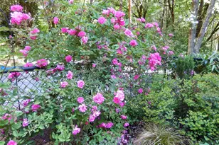 4929 Black Lake Blvd SW, Olympia, WA 98502 - Photo 35