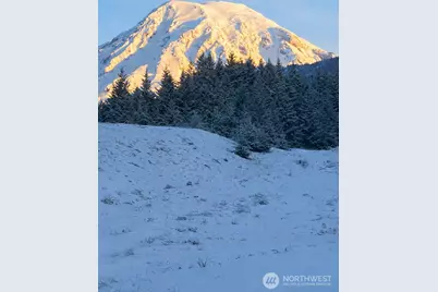 126 Burl Lane, Packwood, WA 98361 - Photo 5